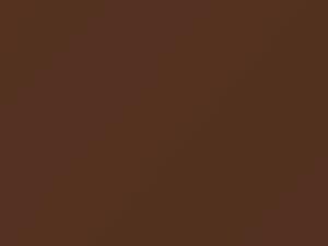 Nissan All Models Light Brown Metallic 1981 811 - Scratch Repair