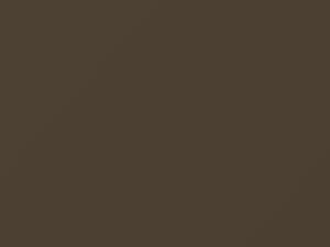 BMW All Models Bahamabeige Metallic 1985 170 - Scratch Repair