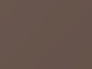 Nissan All Models Pinkish Beige Metallic 1982 29 - Scratch Repair