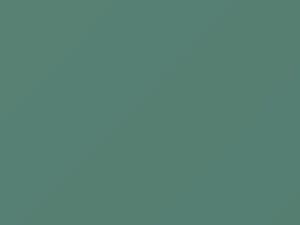 Ford All Models Verona Green Metallic 2011 XSC2398C