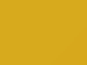 Toyota All Models Citrus Yellow 2006 5A1