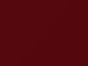 Fiat All Models Rosso 2010 077A