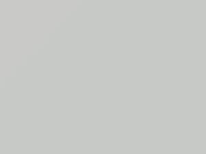 Mitsubishi All Models White Matte 1994 AC10955 - Scratch Repair