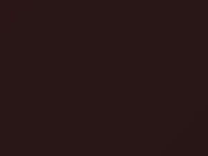 Chrysler All Models Dark Vivid Red Metallic 1989 CK, E8