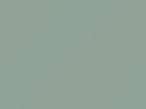 Honda Moto Pearl Cool White Metallic 2010 NHA16P - Scratch Repair