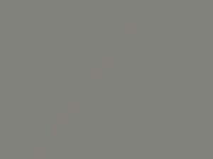 Isuzu All Models Pewter Metallic 1986 0162P1, 825