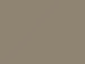 Toyota All Models Light Beige Metallic 1983 4000
