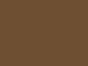 Ford All Models Sunburst Gold Metallic 1999 6924, BR - Scratch Repair