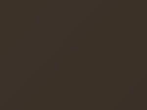 Ford All Models Medium Sandalwood Pearl 1989 B8 - Scratch Repair