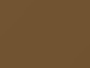 Nissan All Models Gold Metallic 1970 913 - Scratch Repair