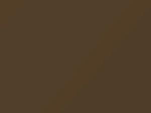 Nissan All Models Deep Gold Metallic 1975 304
