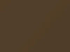 Nissan All Models Deep Gold Metallic 1975 304