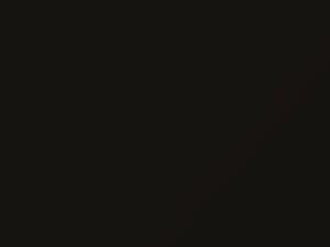 Nissan All Models Dark Brown Metallic 1980 817 - Scratch Repair