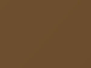 Nissan All Models Gold Metallic 1984 690 - Scratch Repair