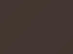 Nissan All Models Beige Metallic 1982 10 - Scratch Repair