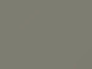 Nissan All Models Grayish Gray Metallic 1984 327 - Scratch Repair