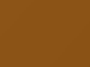 Volkswagen All Models Gold Metallic 1973 L97H