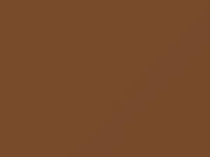 Honda All Models Copper Brown Metallic 1985 YR63M