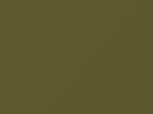 Nissan All Models Green Sun Metallic 1974 155