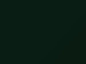 Lotus All Models New Racing Green 1988 A65