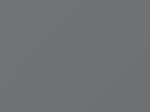 Mitsubishi All Models Italian Silver Metallic 1980 H29