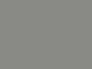 Fiat All Models Bianco Perla 1988 697 - Scratch Repair