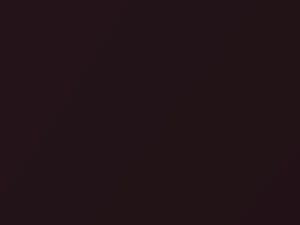 Chevrolet Lanos Dark Red Mica 2000 74L