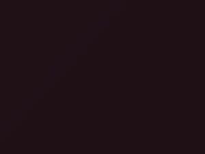 BMW All Models Amethyst Pearl 1996 452, 536 - Scratch Repair