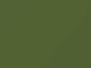 Volkswagen All Models Cedergruen 2005 LD6G, T2 - Scratch Repair