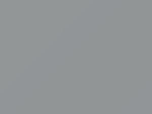 Fiat All Models Grigio Intellettuale Metallic 2010 348B