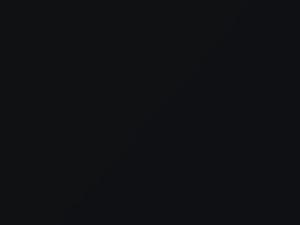 Daewoo All Models Black Pearl 1996 81L