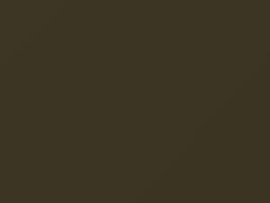 Nissan All Models Olive Metallic 1996 JR0