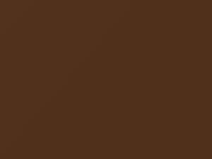 Mitsubishi All Models Jamaica Brown Metallic 1978 AC10463, C63