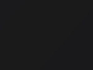 Nissan All Models Black Metallic 1978 606 - Scratch Repair