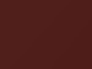 Ford All Models Md Palomino Metallic 1996 CB - Scratch Repair