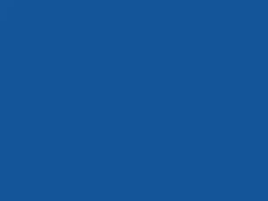 Fiat All Models Blue Luce 1988 45