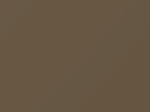 Audi All Models Gobi Metallic 1982 LY1V