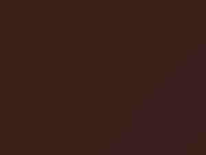 Suzuki All Models Ascot Brown Metallic 1983 09K
