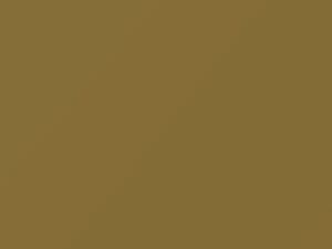 Nissan All Models Dark Yellow 1996 EH3 - Scratch Repair