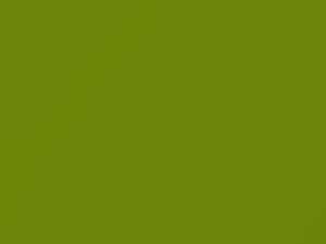 Dodge All Models Nitro Yellow Green/Nitro Yellow-Green 1995 AY110RF2, PF2, RF2