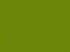 Dodge Neon Nitro Yellow Green/Nitro Yellow-Green 1995 AY110RF2, PF2, RF2