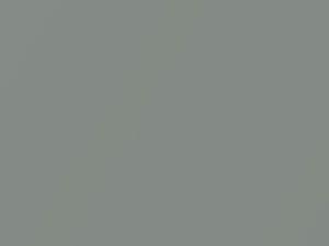 Toyota All Models Gray Metallic/Silver Fresco Metallic 2009 1G6