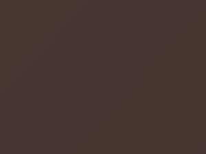 Nissan All Models Brown 1996 CR1 - Scratch Repair