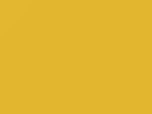 Toyota All Models Yellow 2011 571