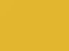 Toyota All Models Yellow 2011 571