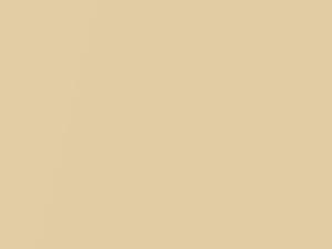 Cadillac All Models Pearl Flax 1993 04, 4, 9818, WA9818 - Scratch Repair