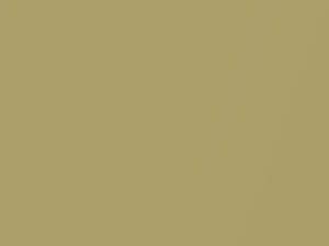 Porsche All Models Limegold Metallic 2015 5P1, L5P1