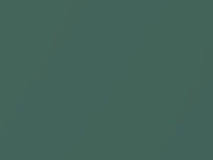 Hyundai All Models Palm Green Metallic 2013 PEG