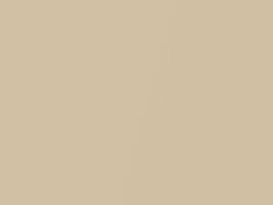 Cadillac All Models Canyon Yellow Pearl 1994 58, 9797, WA9797 - Scratch Repair