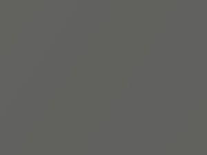 Fiat All Models Chrome Matte 2012 656B